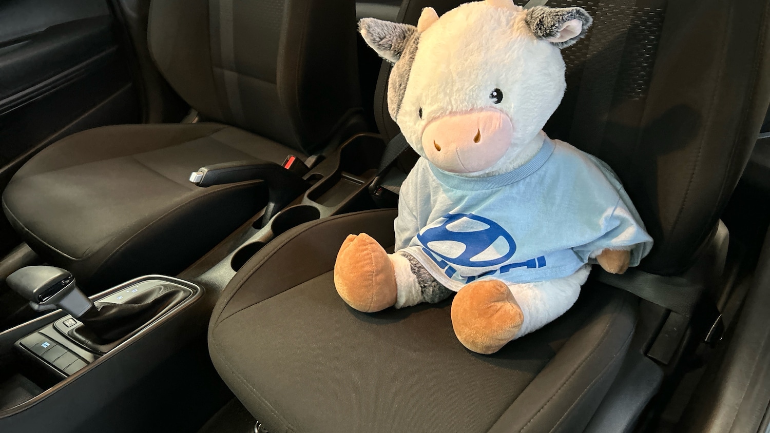 Used Hyundai i20 2023 for sale - 76719234: Photo 30