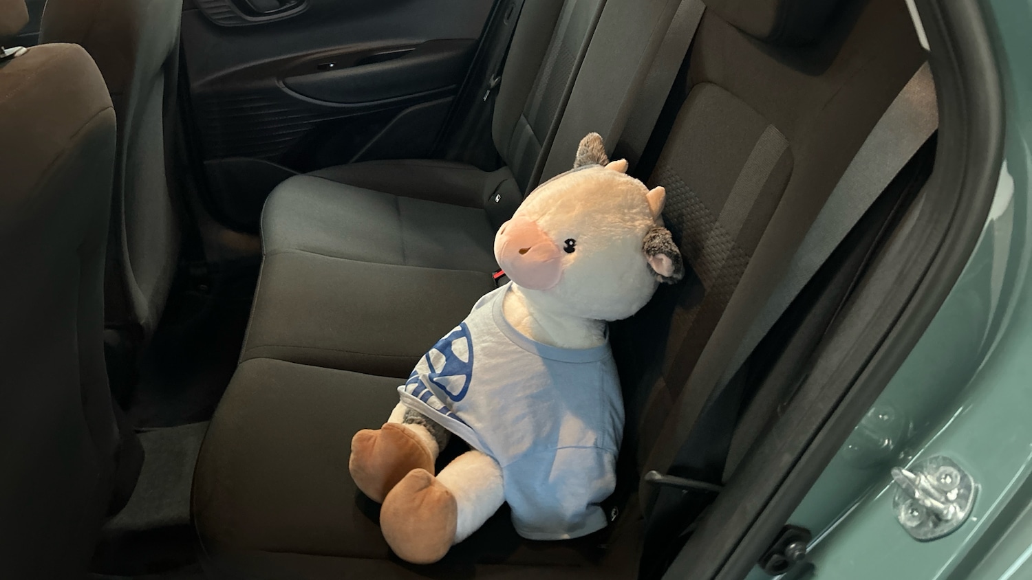 Used Hyundai i20 2023 for sale - 76719234: Photo 39