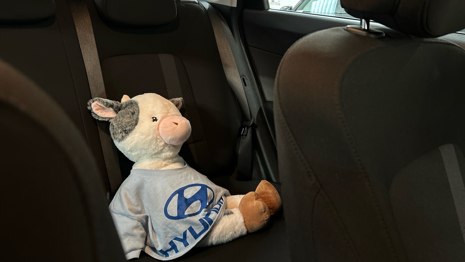 Used Hyundai i20 2023 for sale - 76719234: Photo 45