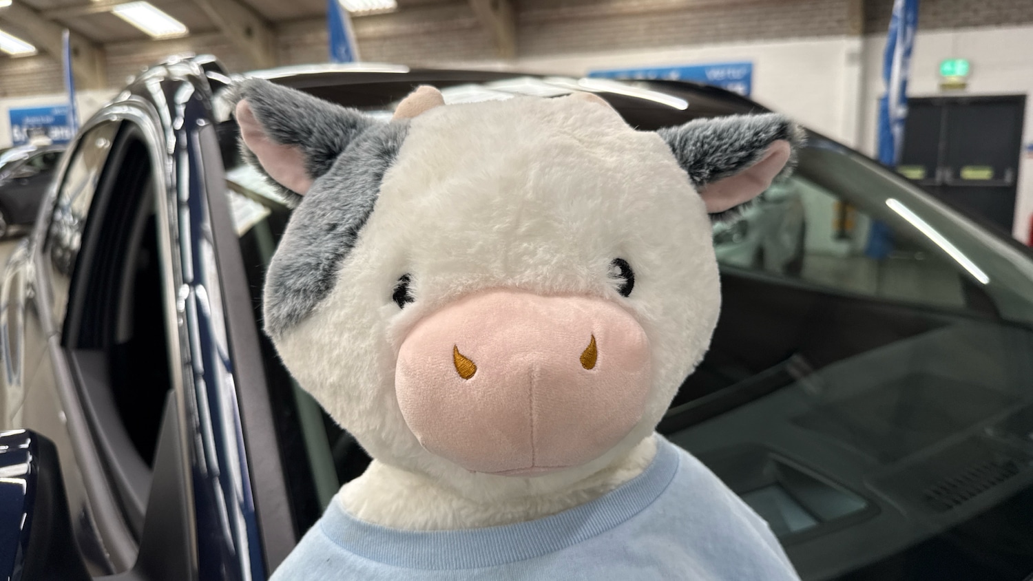 Used Hyundai TUCSON 2024 for sale - 77917659: Photo 41