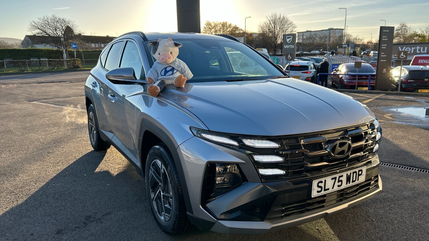 Used Hyundai TUCSON 2025 for sale - 76504432: Photo 21