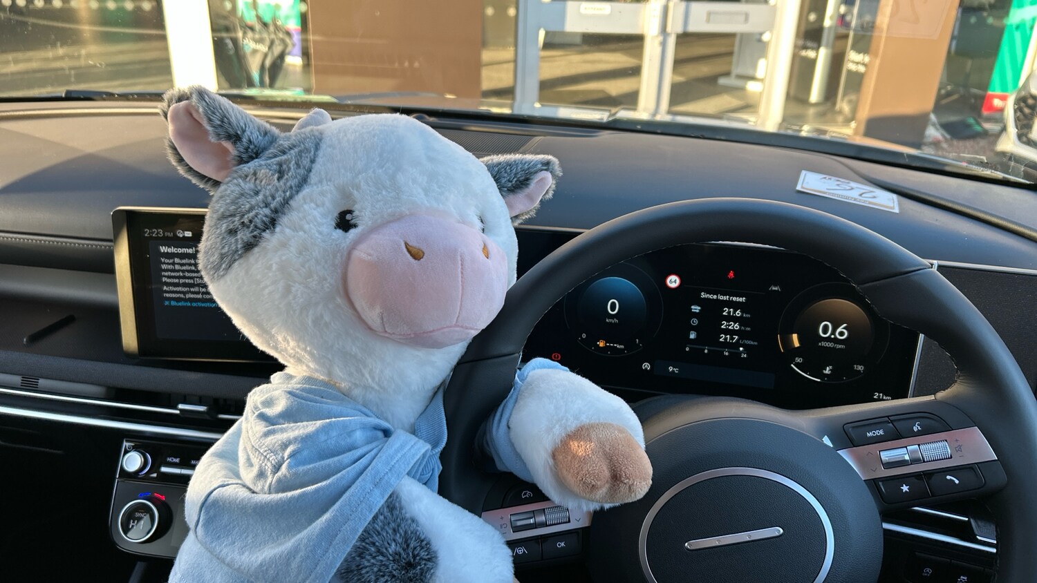 Used Hyundai TUCSON 2025 for sale - 76504432: Photo 31