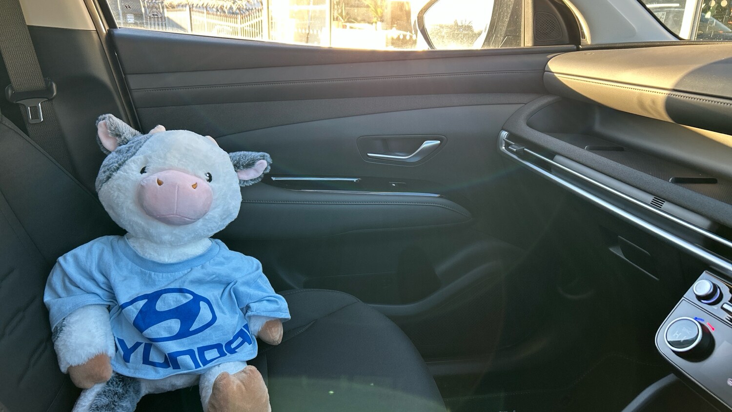 Used Hyundai TUCSON 2025 for sale - 76504432: Photo 40