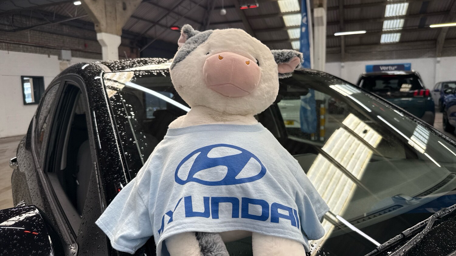 Used Hyundai i10 2023 for sale - 78210691: Photo 36