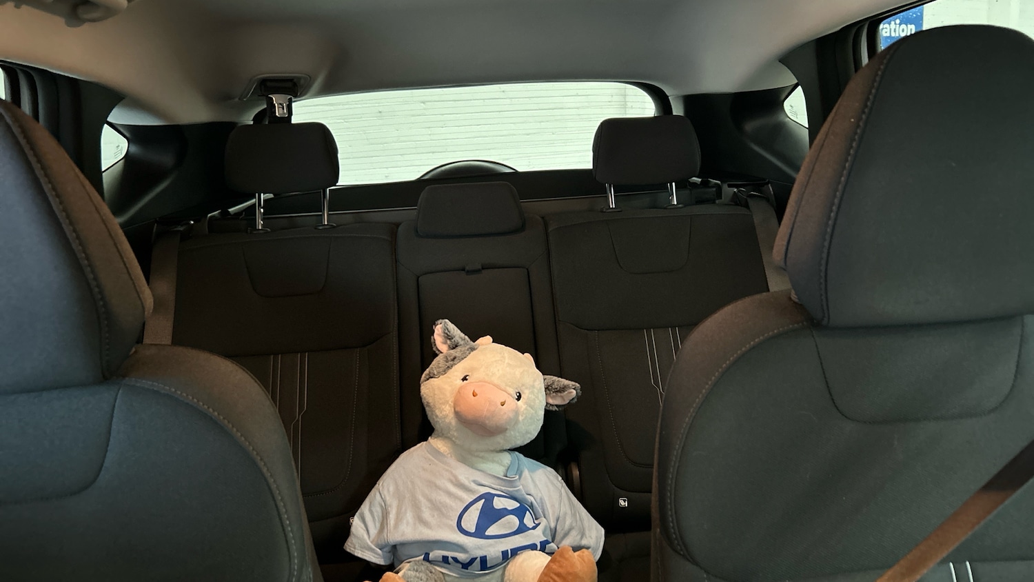 Used Hyundai TUCSON 2021 for sale - 76910938: Photo 15