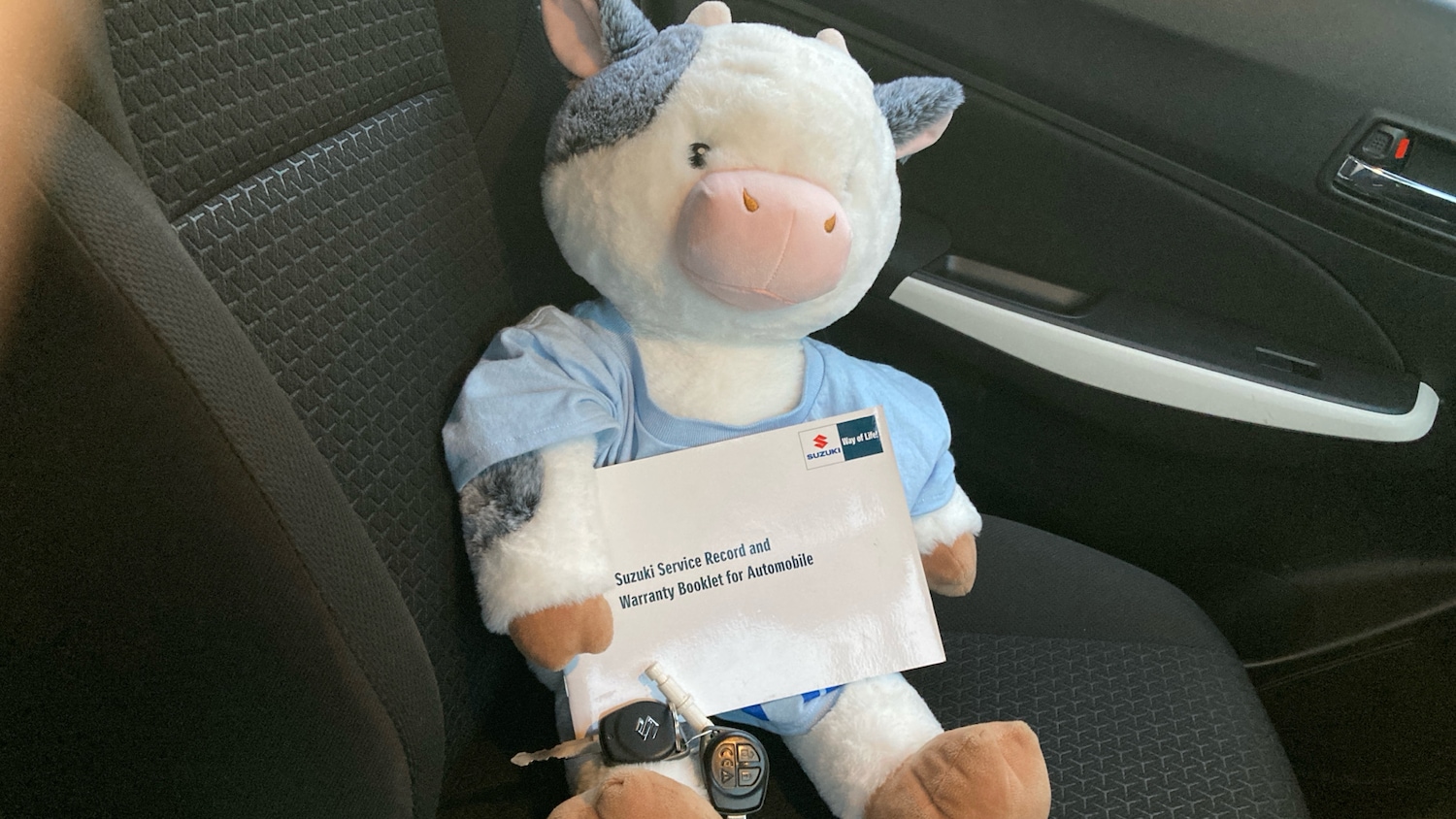 Used Suzuki Swift 2018 for sale - 76391197: Photo 19