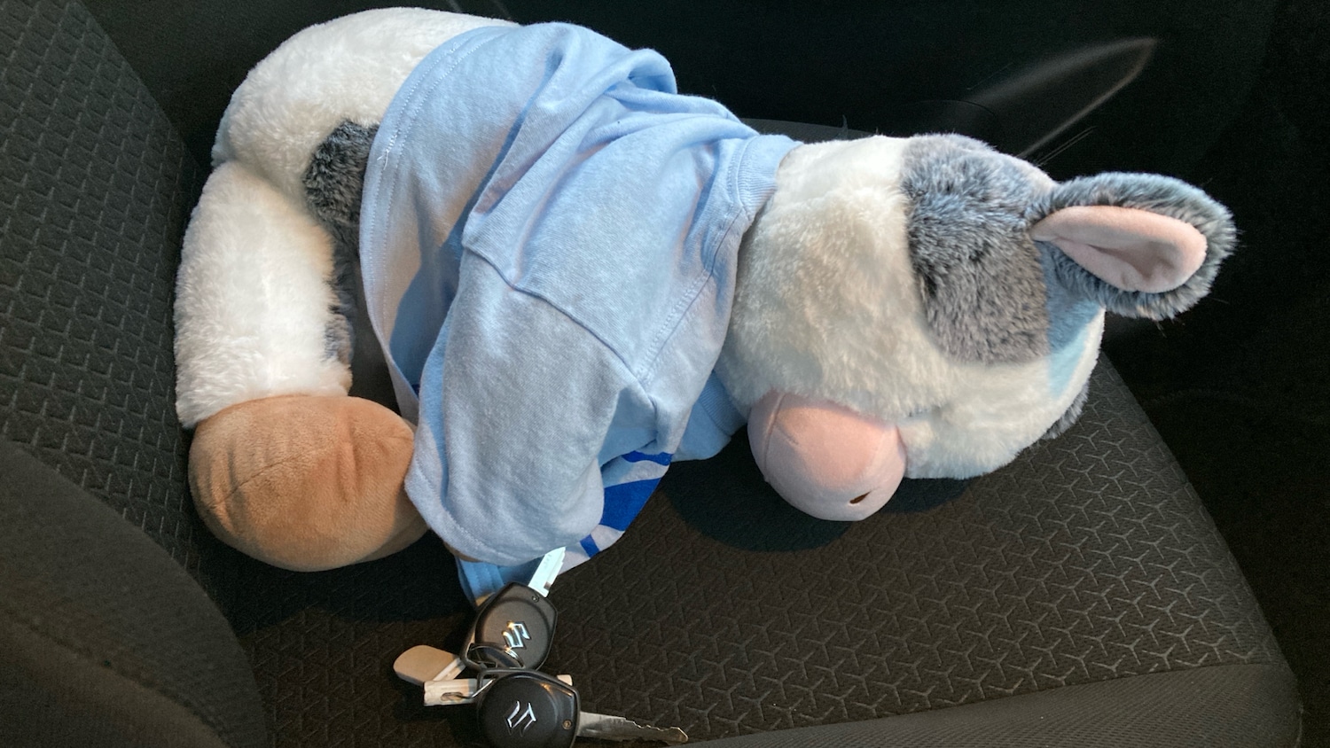 Used Suzuki Swift 2018 for sale - 76391197: Photo 20