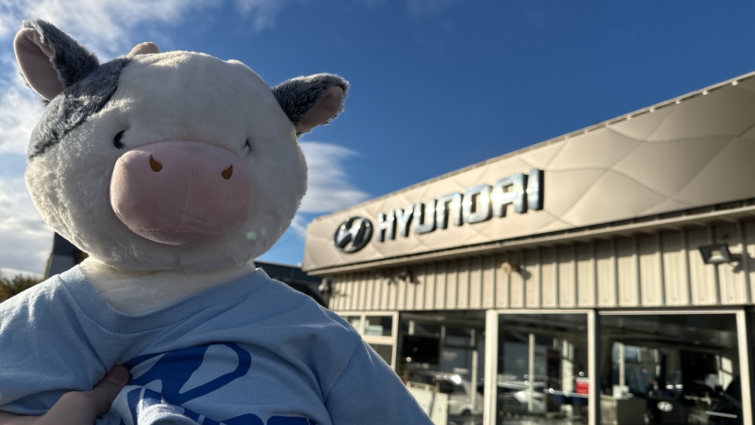 Used Hyundai TUCSON 2022 for sale - 76392209: Photo 44