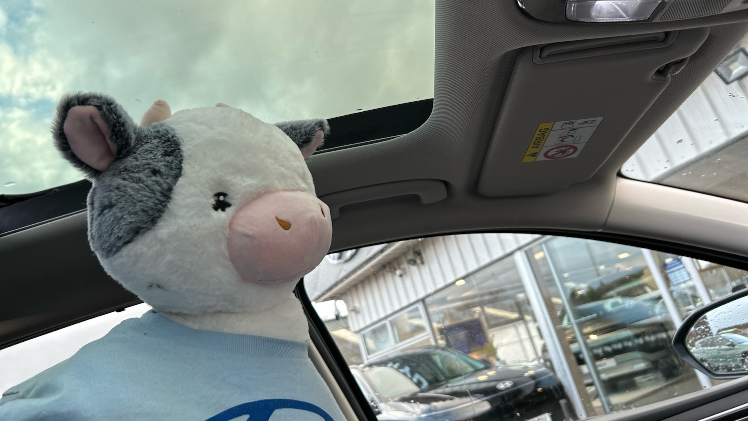 Used Hyundai TUCSON 2021 for sale - 76908468: Photo 35