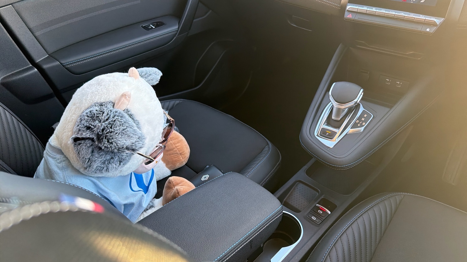 Used Renault Other 2025 for sale - 77138443: Photo 14