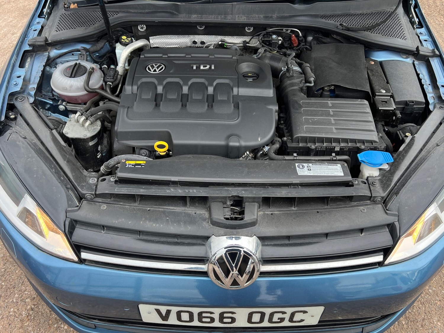 Used Volkswagen Golf for sale - 77696778: Photo 14