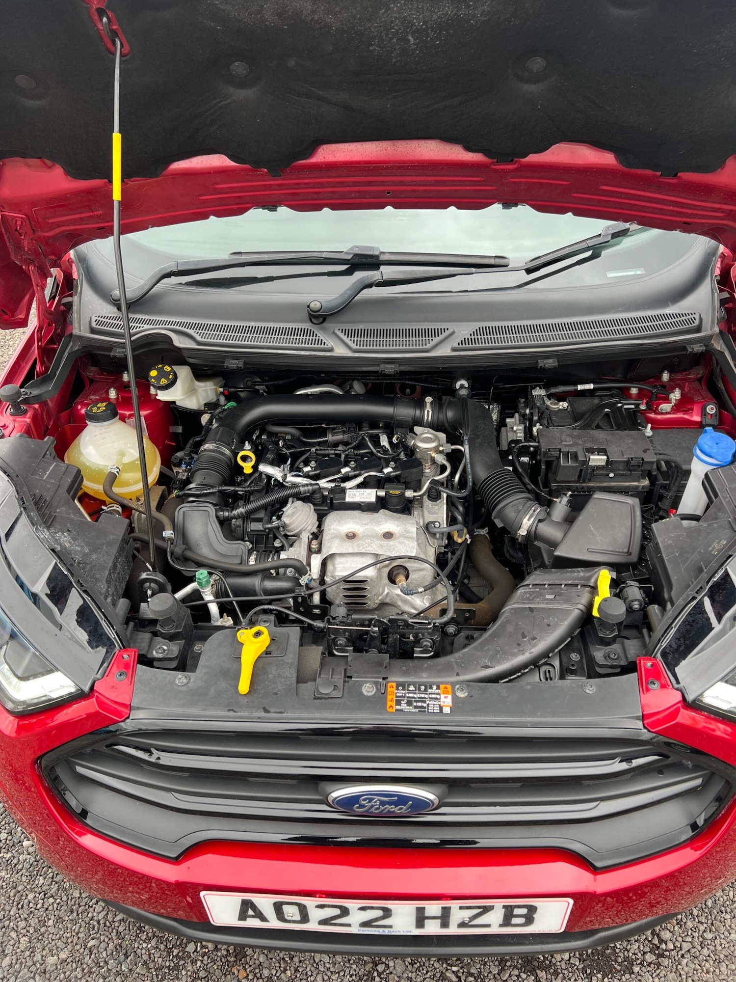 Used Ford Ecosport 2022 for sale - 77696293: Photo 15