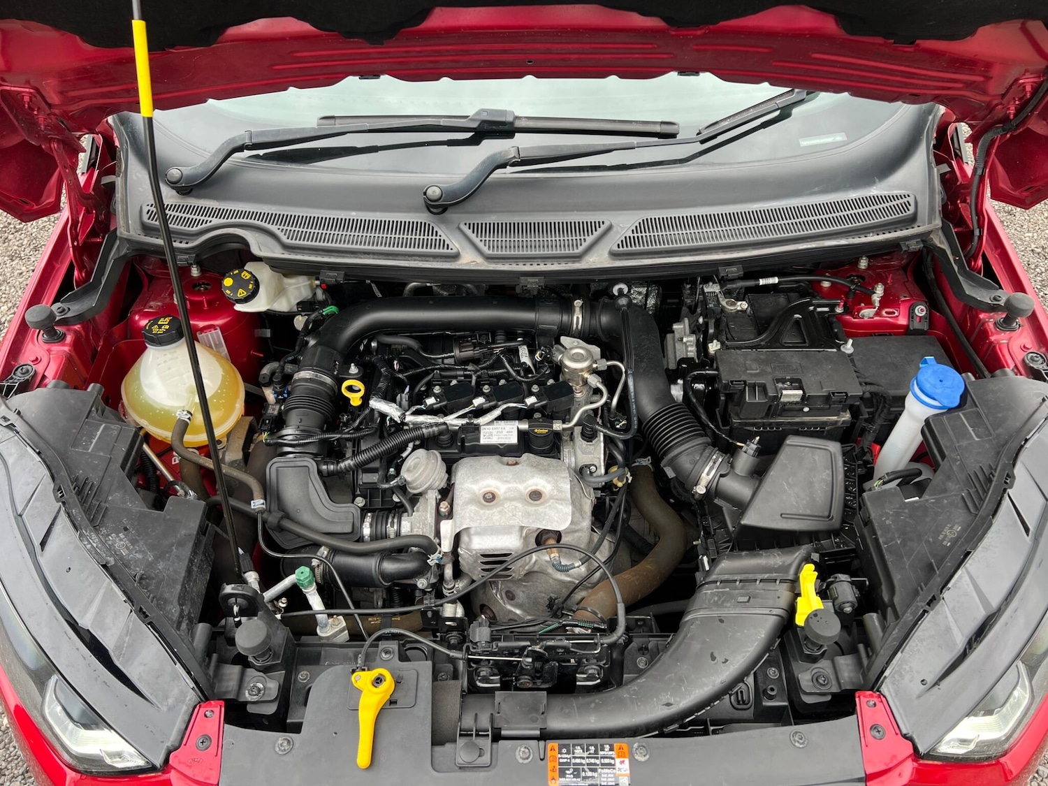 Used Ford Ecosport 2022 for sale - 77696293: Photo 21