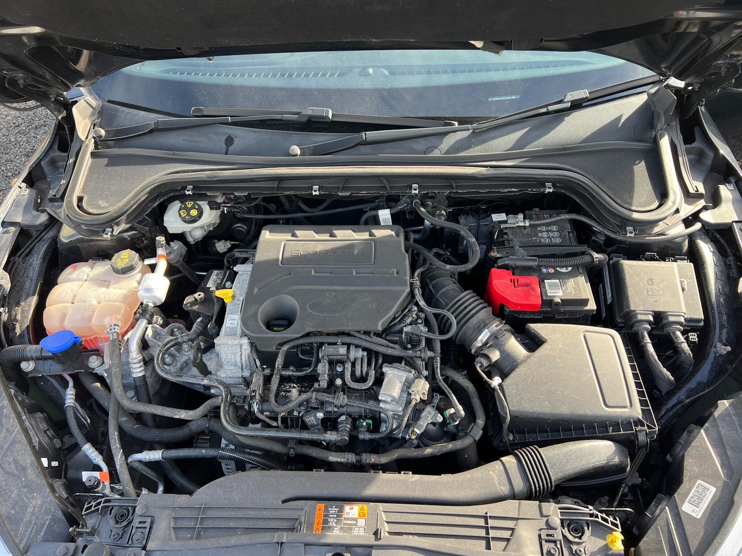 Used Ford Focus 2019 for sale - 77738350: Photo 19