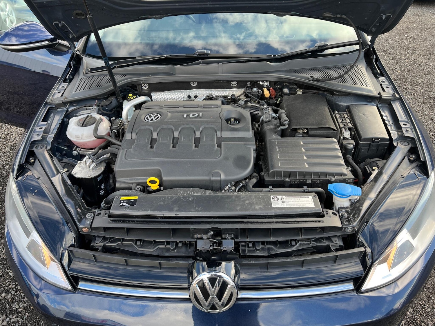 Used Volkswagen Golf for sale - 77705508: Photo 18