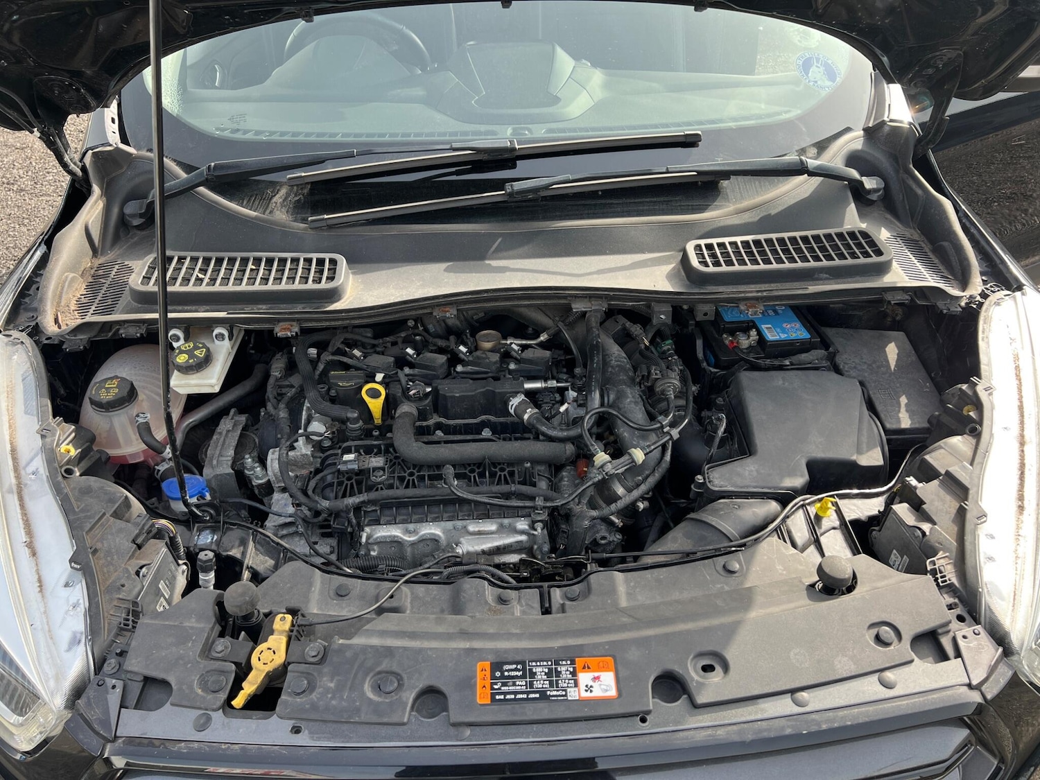 Used Ford Kuga 2019 for sale - 77768860: Photo 25