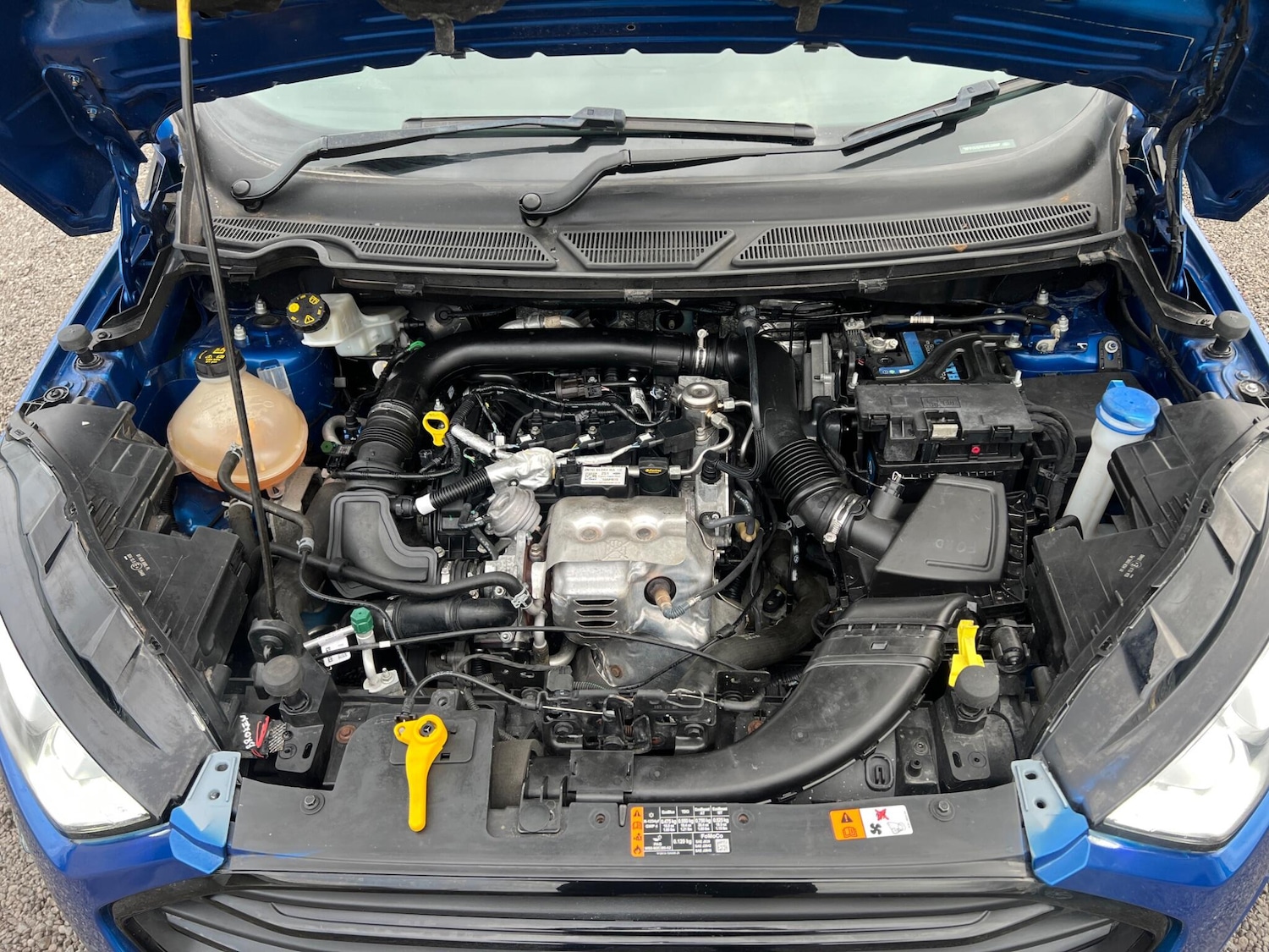 Used Ford Ecosport for sale - 77753365: Photo 26