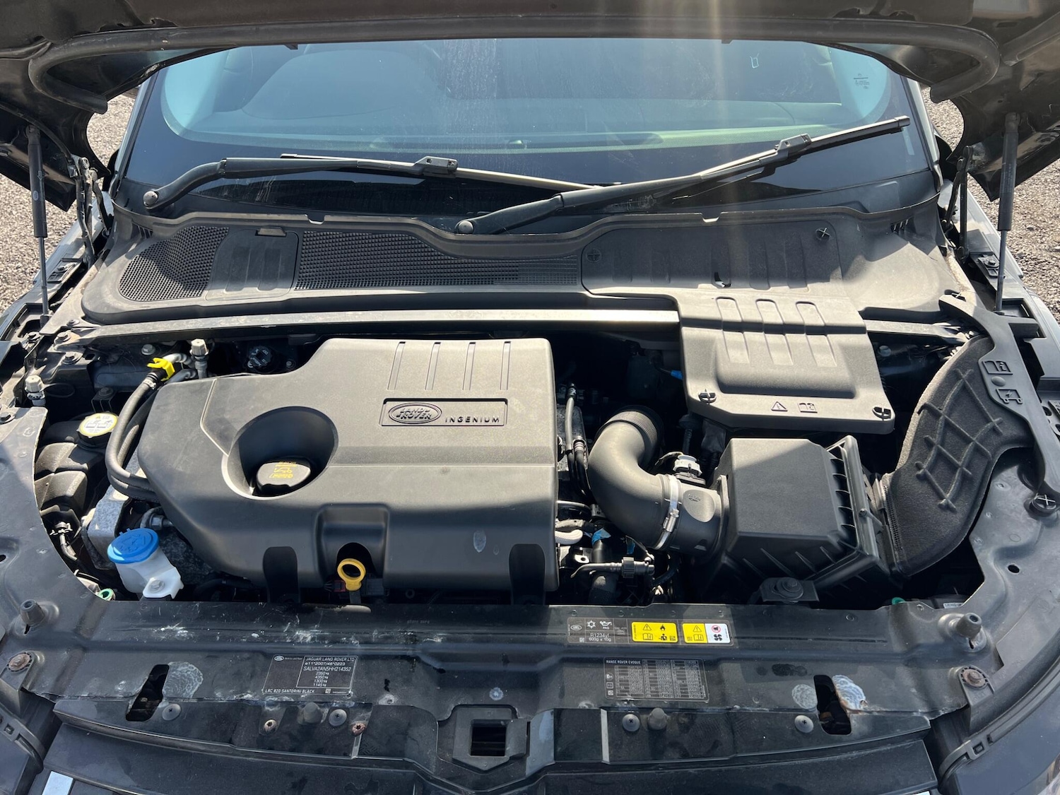 Used Land Rover Range Rover Evoque 2017 for sale - 77768407: Photo 18