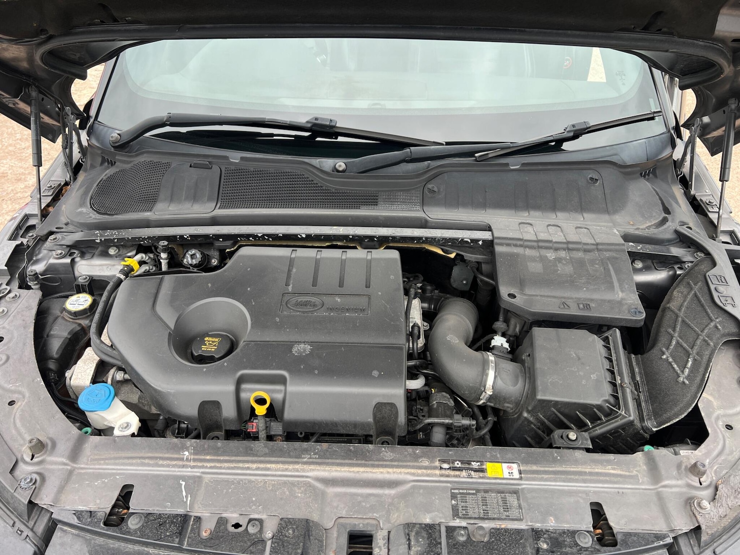 Used Land Rover Range Rover Evoque 2016 for sale - 78100082: Photo 32