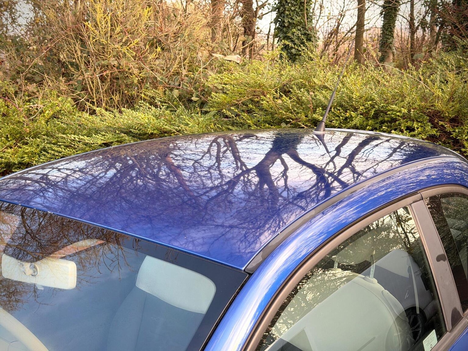 Used Fiat 500 2010 for sale - 76748229: Photo 22