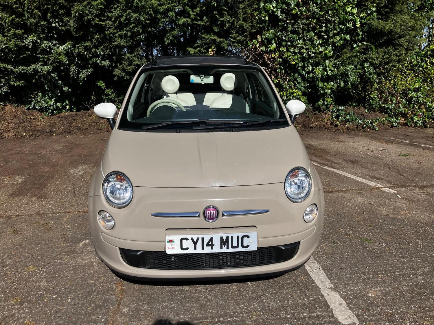Used Fiat 500 2014 for sale - 78121556: Photo 13