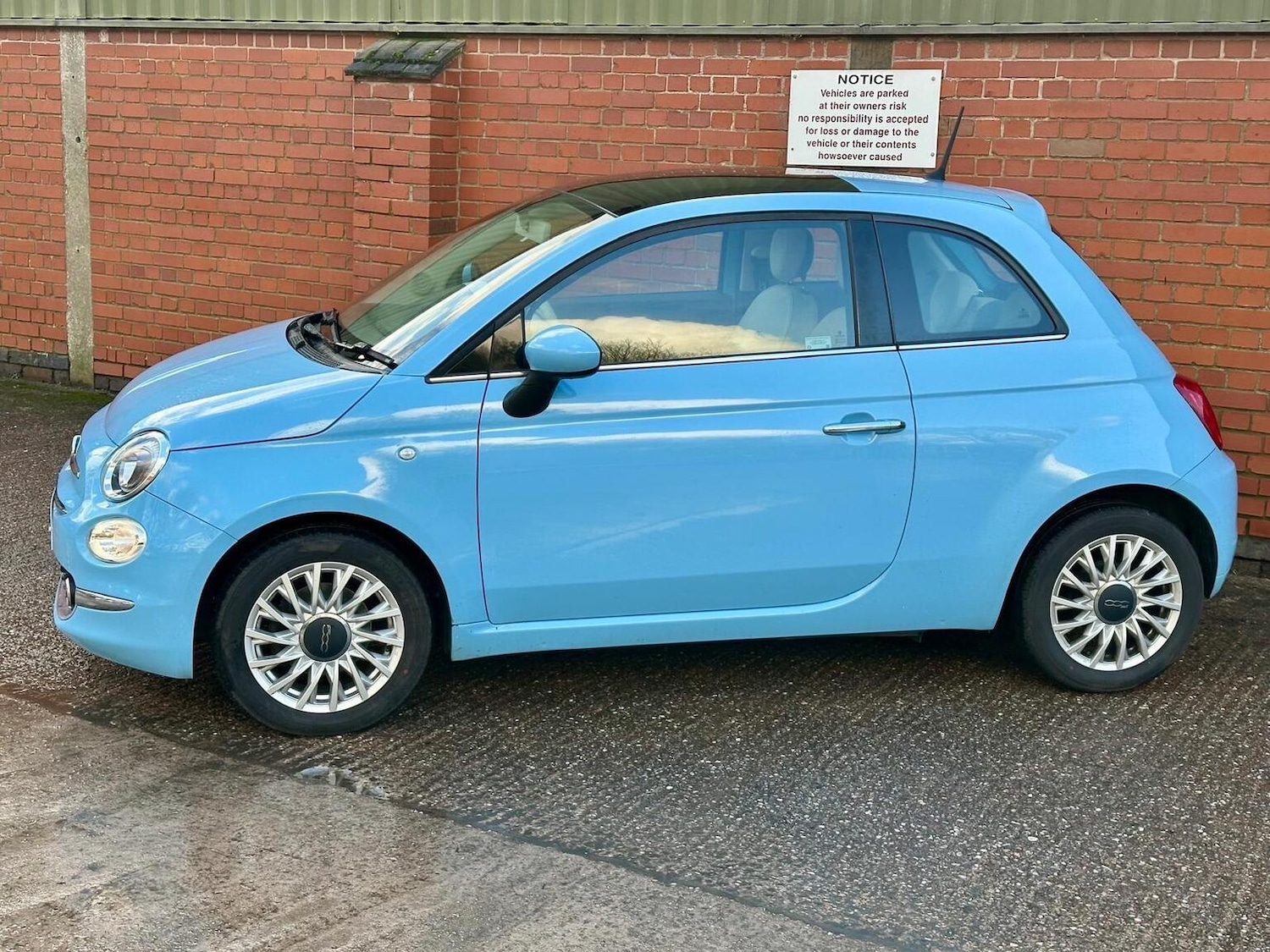 Used Fiat 500 2016 for sale - 77629100: Photo 16