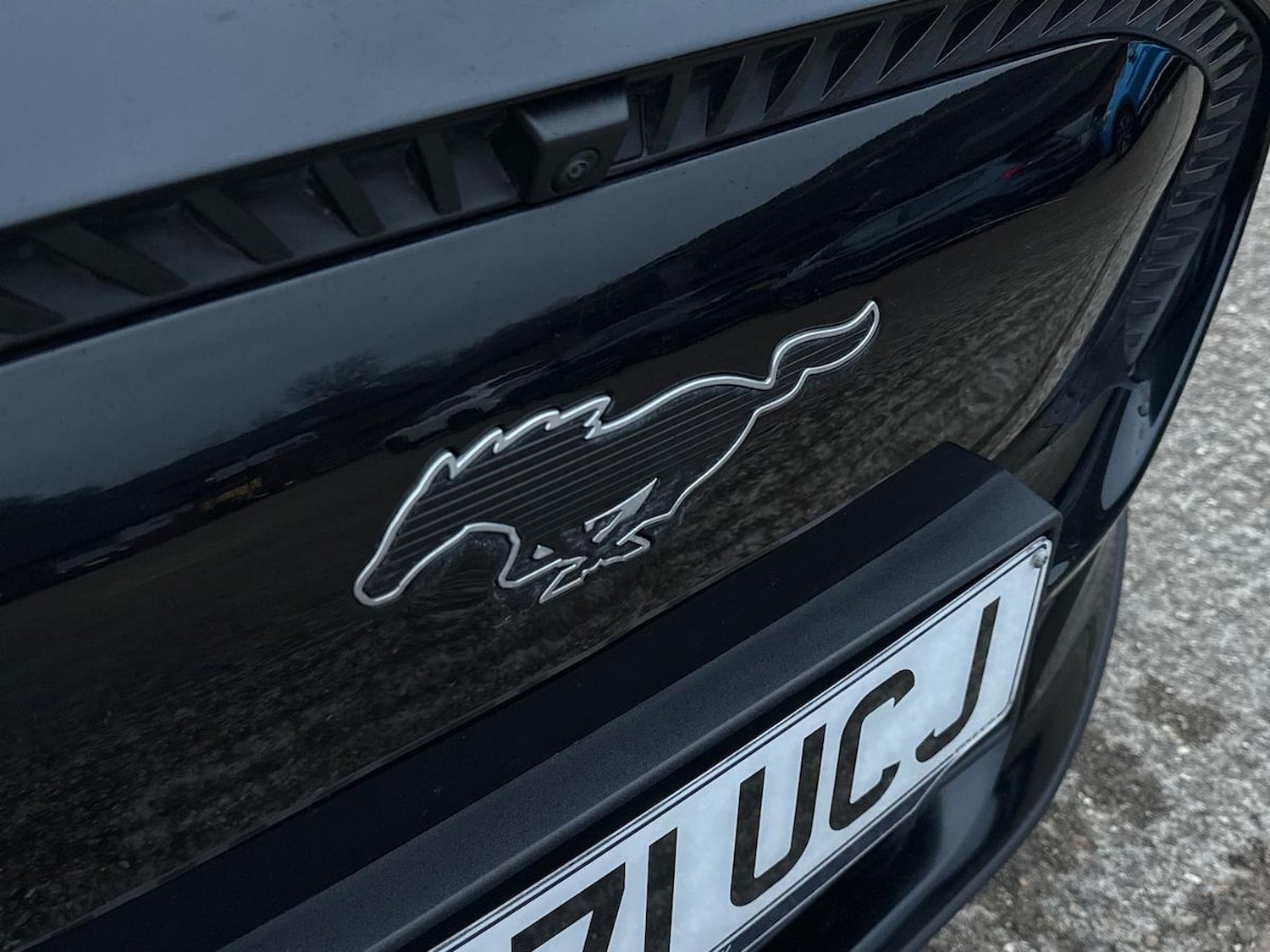 Used Ford Mustang Mach-E 2021 for sale - 77056979: Photo 35