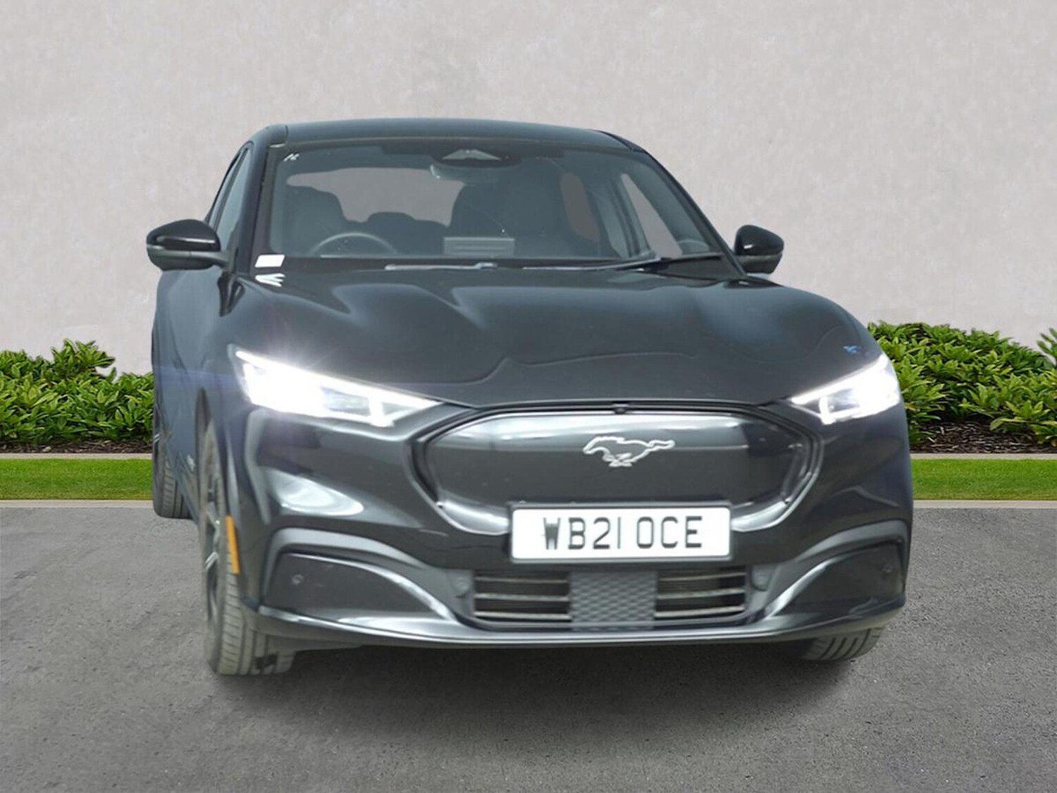 Used Ford Mustang Mach-E 2021 for sale - 78194415: Photo 6