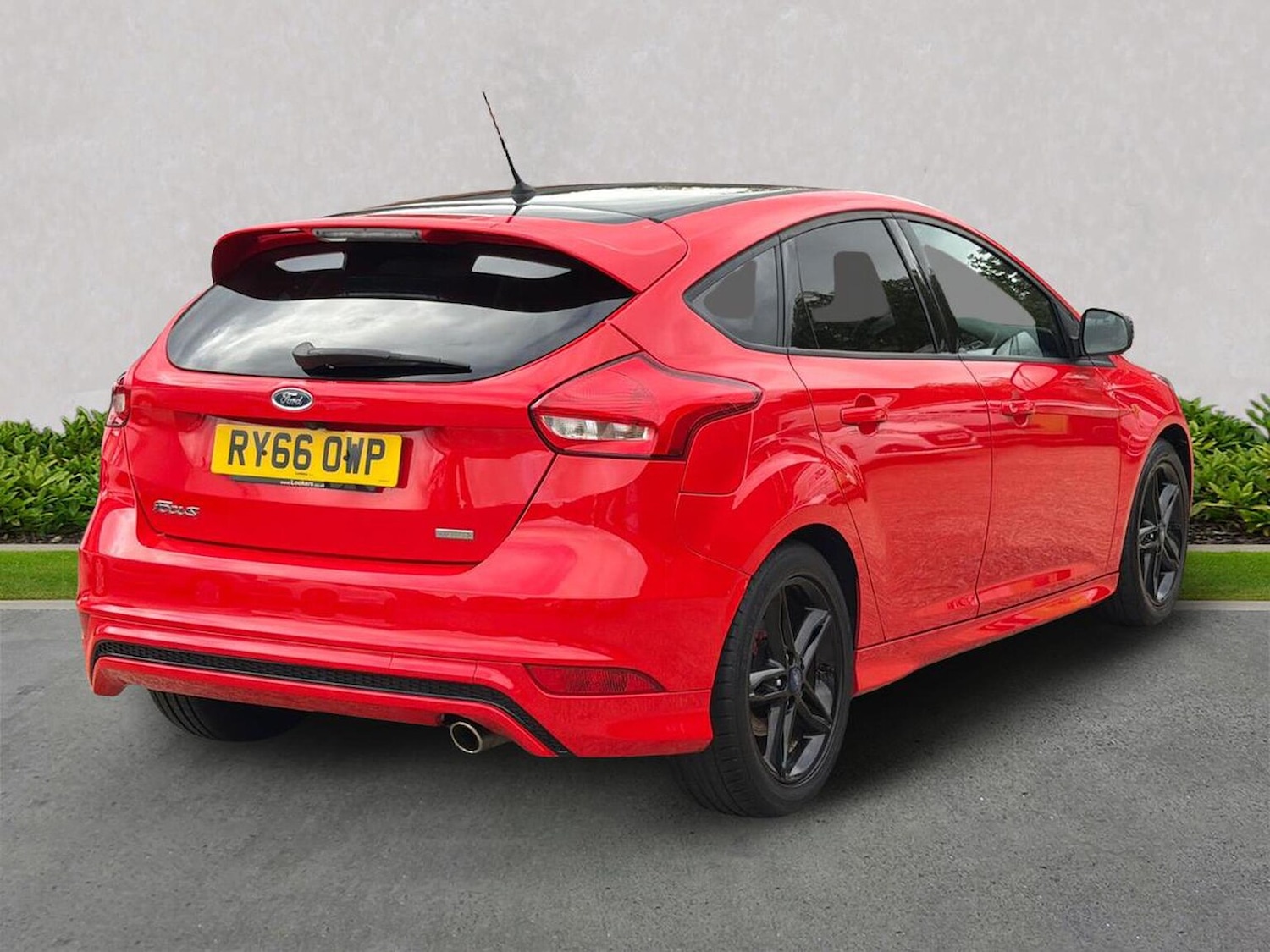 Used Ford Focus 2016 for sale - 76253656: Photo 18