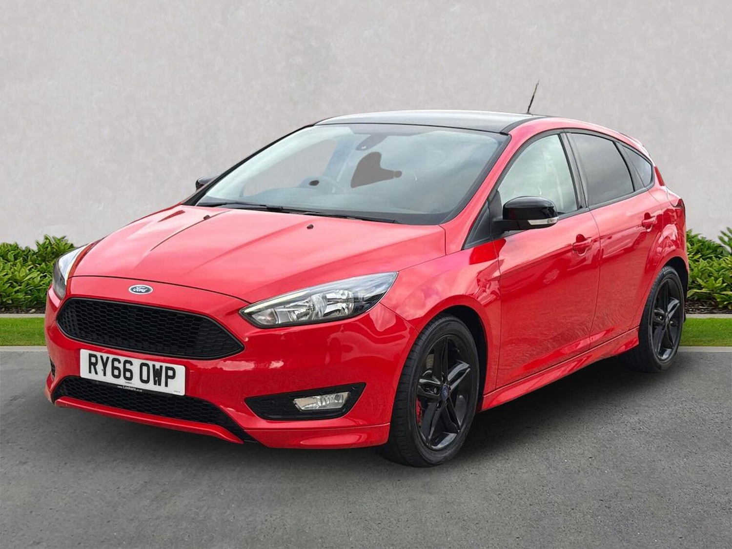 Used Ford Focus 2016 for sale - 76253656: Photo 20