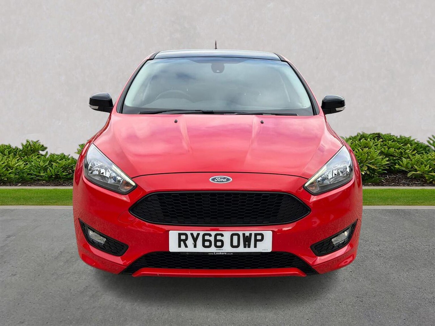 Used Ford Focus 2016 for sale - 76253656: Photo 5