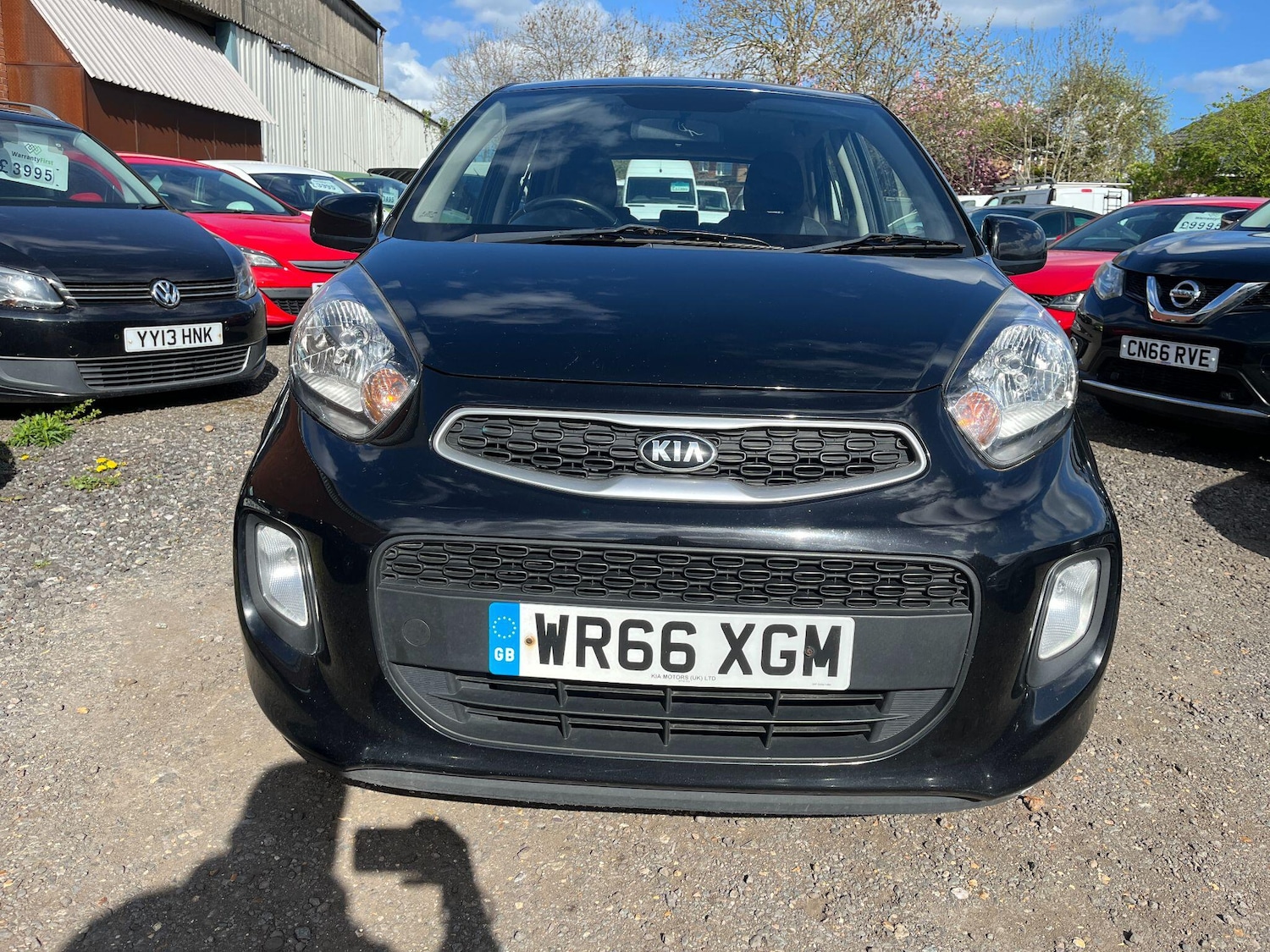 Used Kia Picanto for sale - 78214095: Photo 4