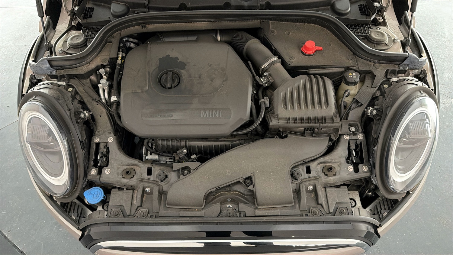 Used MINI Convertible 2023 for sale - 77889681: Photo 10