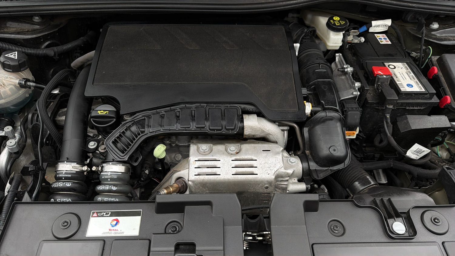 Used Citroen C4 2023 for sale - 77952218: Photo 18