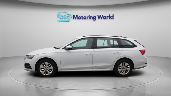 Used Skoda Octavia 2021 for sale - 76189479: Photo 5