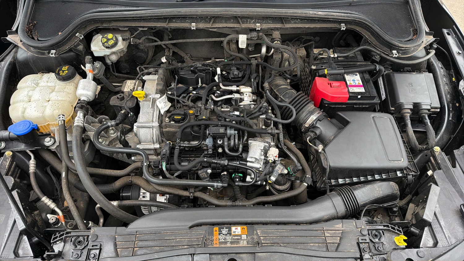 Used Ford Focus 2023 for sale - 77997533: Photo 18