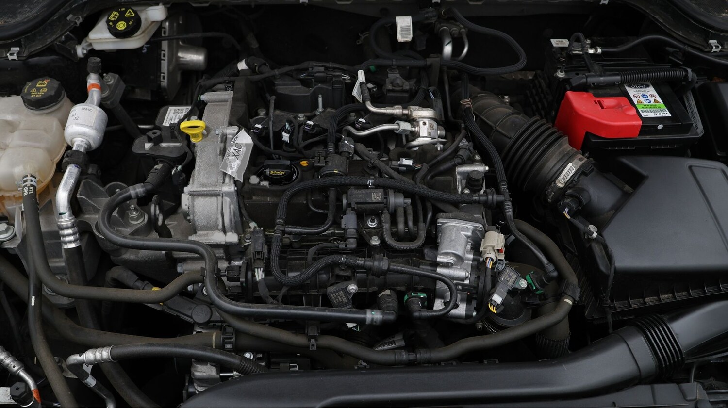 Used Ford Focus 2024 for sale - 77363848: Photo 19