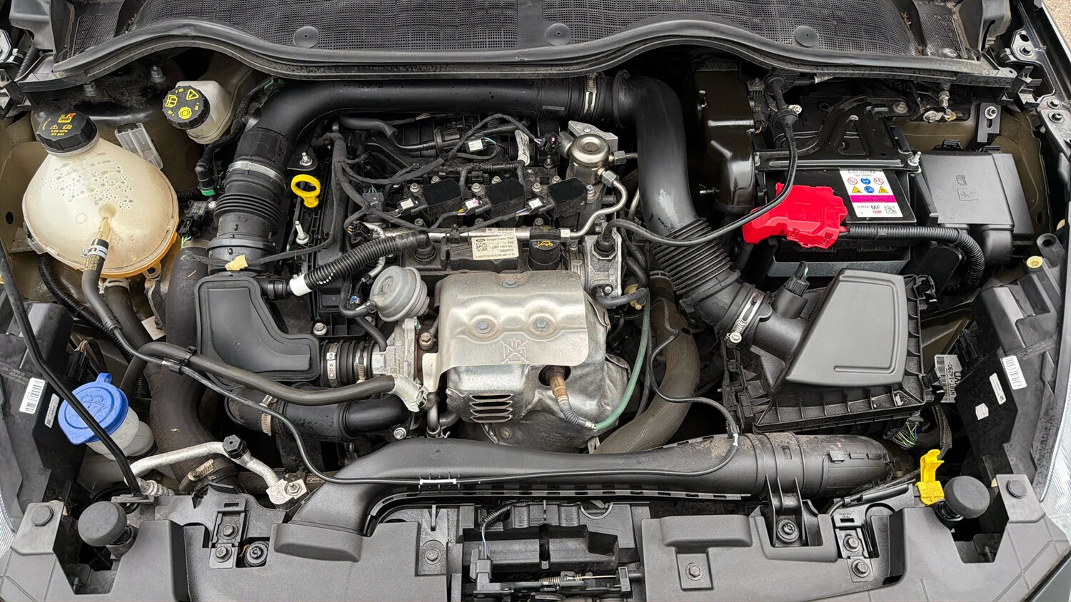 Used Ford Fiesta 2023 for sale - 78123821: Photo 18