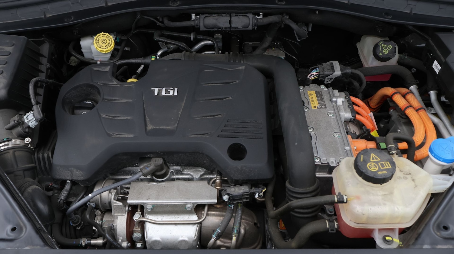 Used MG MG HS 2023 for sale - 77961365: Photo 19