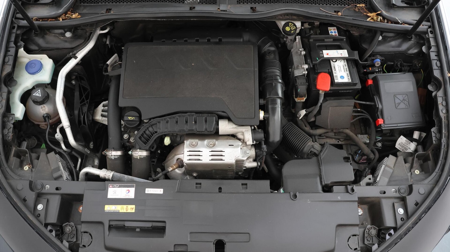 Vehicle 19