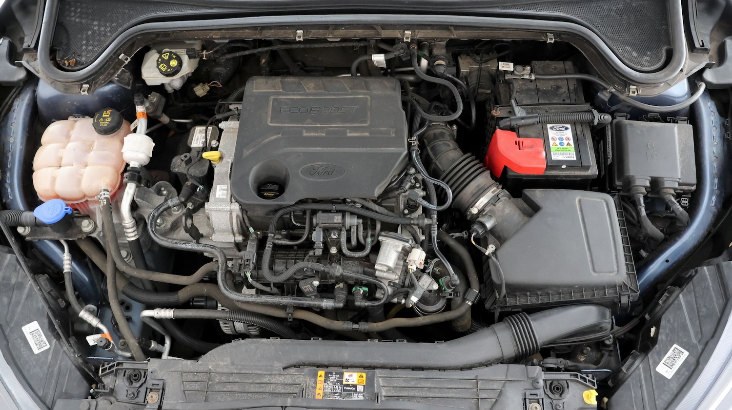 Used Ford Focus 2020 for sale - 77476847: Photo 19