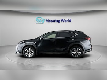 Used Lexus NX 2020 for sale - 77490155: Photo