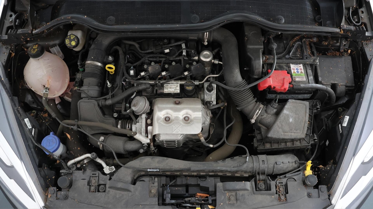 Used Ford Fiesta 2018 for sale - 76440537: Photo 19