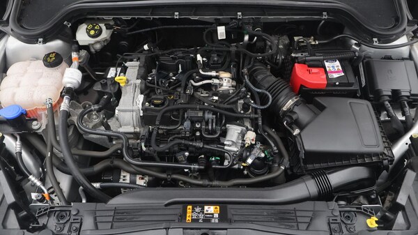 Used Ford Focus 2022 for sale - 76246500: Photo 20