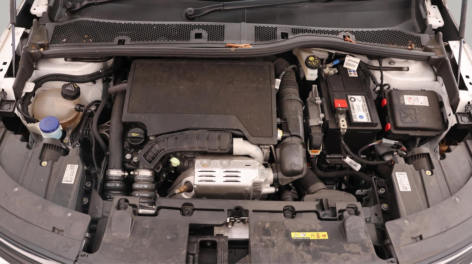 Vehicle 19