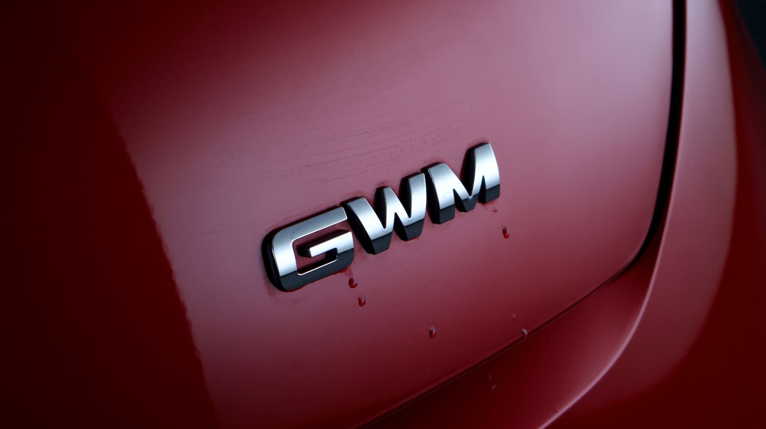 Used GWM ORA 03 2024 for sale - 77789183: Photo 24