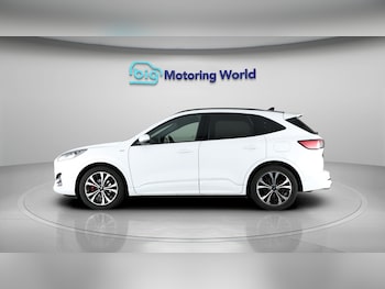 Used Ford Kuga 2020 for sale - 77846361: Photo