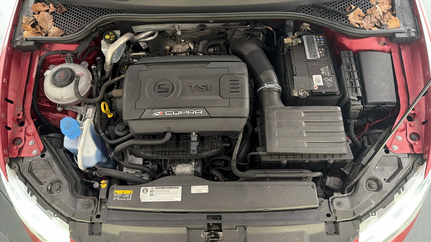 Used SEAT Leon 2019 for sale - 77791495: Photo 19