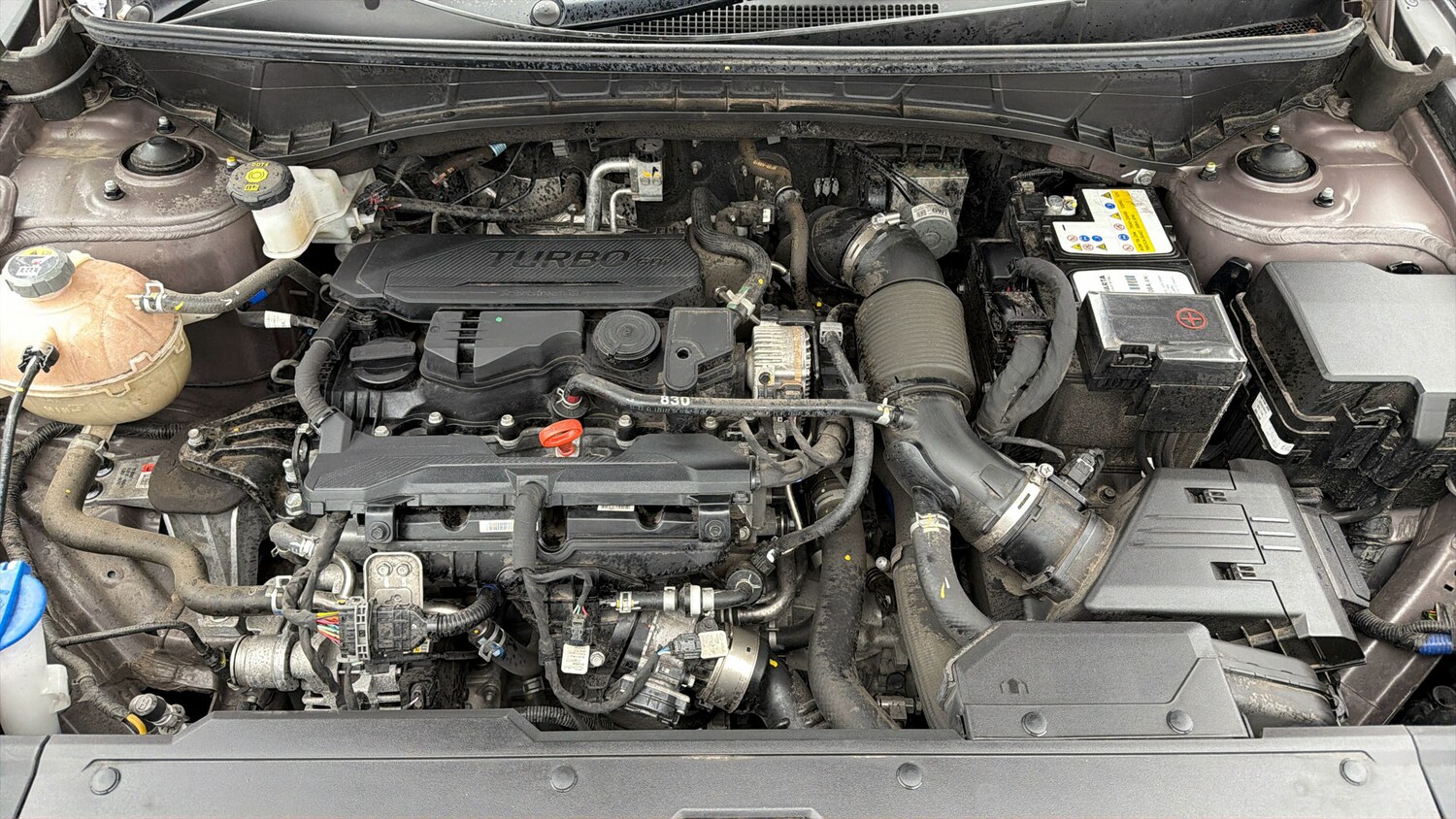 Used Hyundai TUCSON 2023 for sale - 78122691: Photo 18