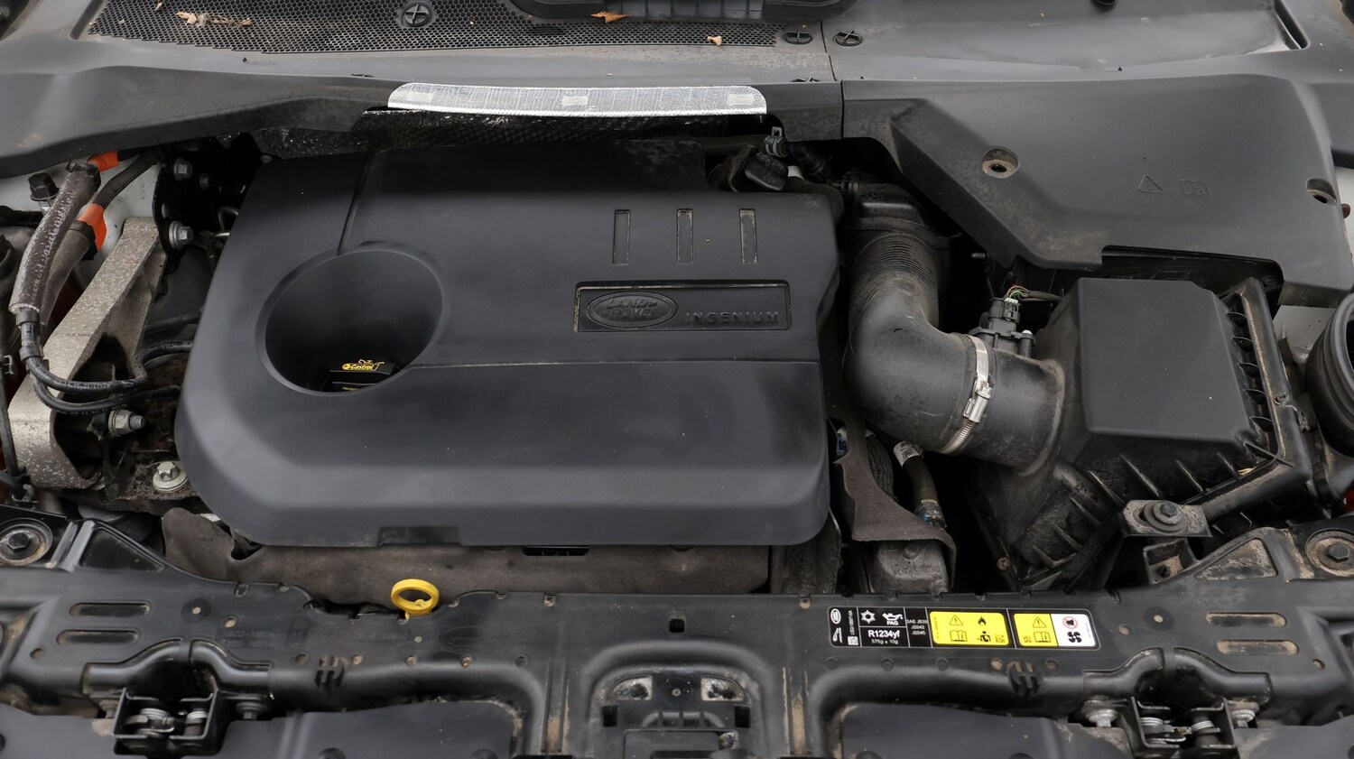 Used Land Rover Range Rover Evoque 2021 for sale - 77364151: Photo 19